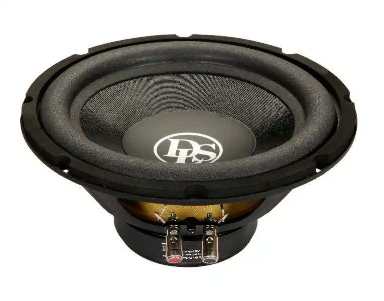 Objednat online - Subwoofer DLS MCW10
