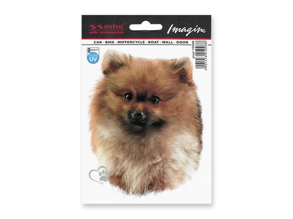 Velmi populární - Samolepka AVISA - Pes Pomeranian